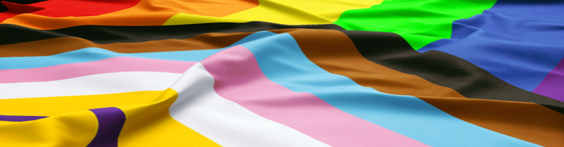 inclusive gay flag